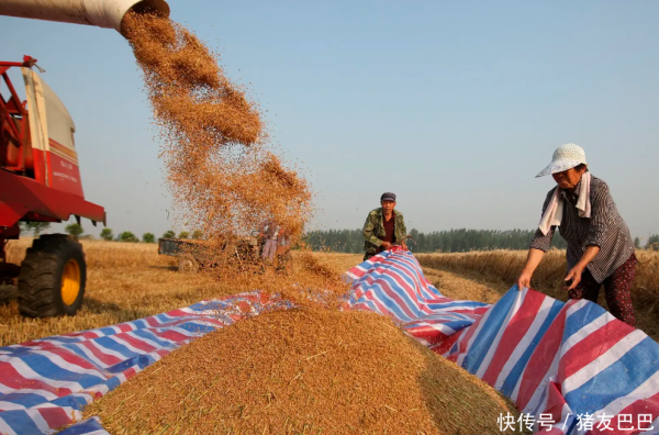 合法配资平台排名 油价涨翻天！5月21日调价后92,95号汽油价格，麦价涨跌“停滞”！